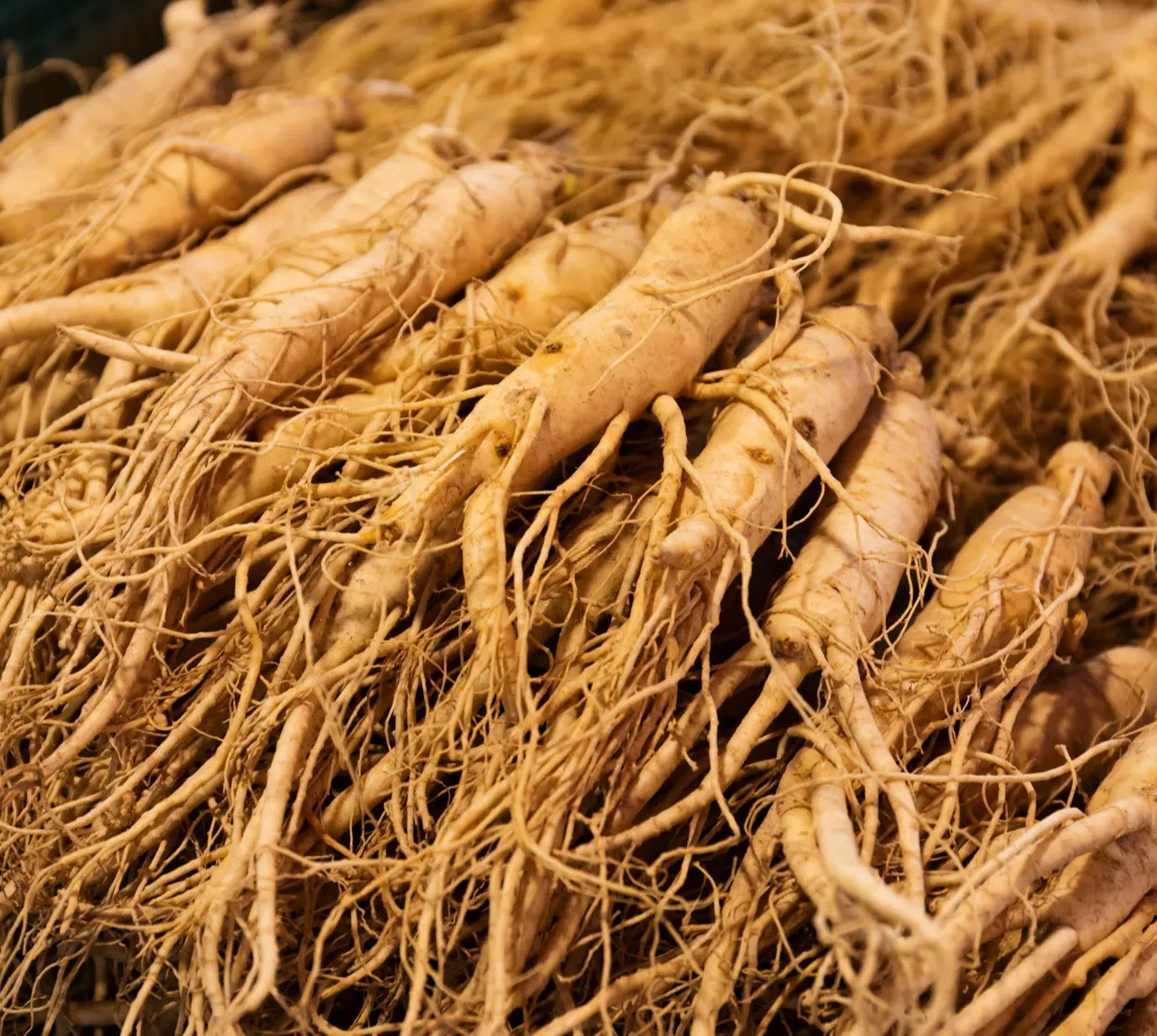 Ginseng Extract